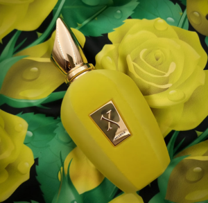 Nuoc Hoa Xerjoff Amabile EDP