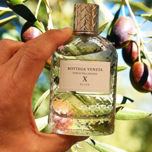 Nuoc Hoa Bottega Veneta Parco Palladiano X Olivo EDP