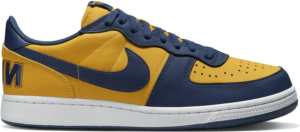Giay Nike Terminator Low 'University Gold Navy' FJ4206-700
