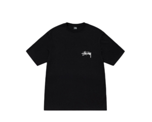 Ao Stussy Diced Out T-Shirt 'Black'