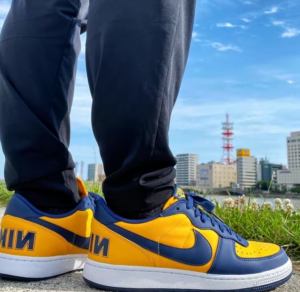 Giay Nike Terminator Low 'University Gold Navy' FJ4206-700