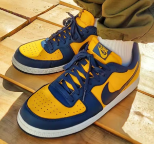 Giay Nike Terminator Low 'University Gold Navy' FJ4206-700