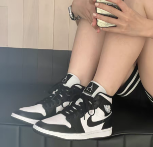 Giay Nike Air Jordan 1 Mid 'Panda' DV0991-101