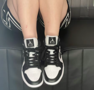 Giay Nike Air Jordan 1 Mid 'Panda' DV0991-101