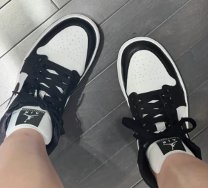 Giay Nike Air Jordan 1 Mid 'Panda' DV0991-101