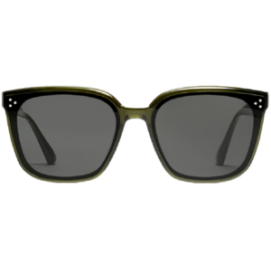 Kinh Gentle Monster Palette KC2 'Green'