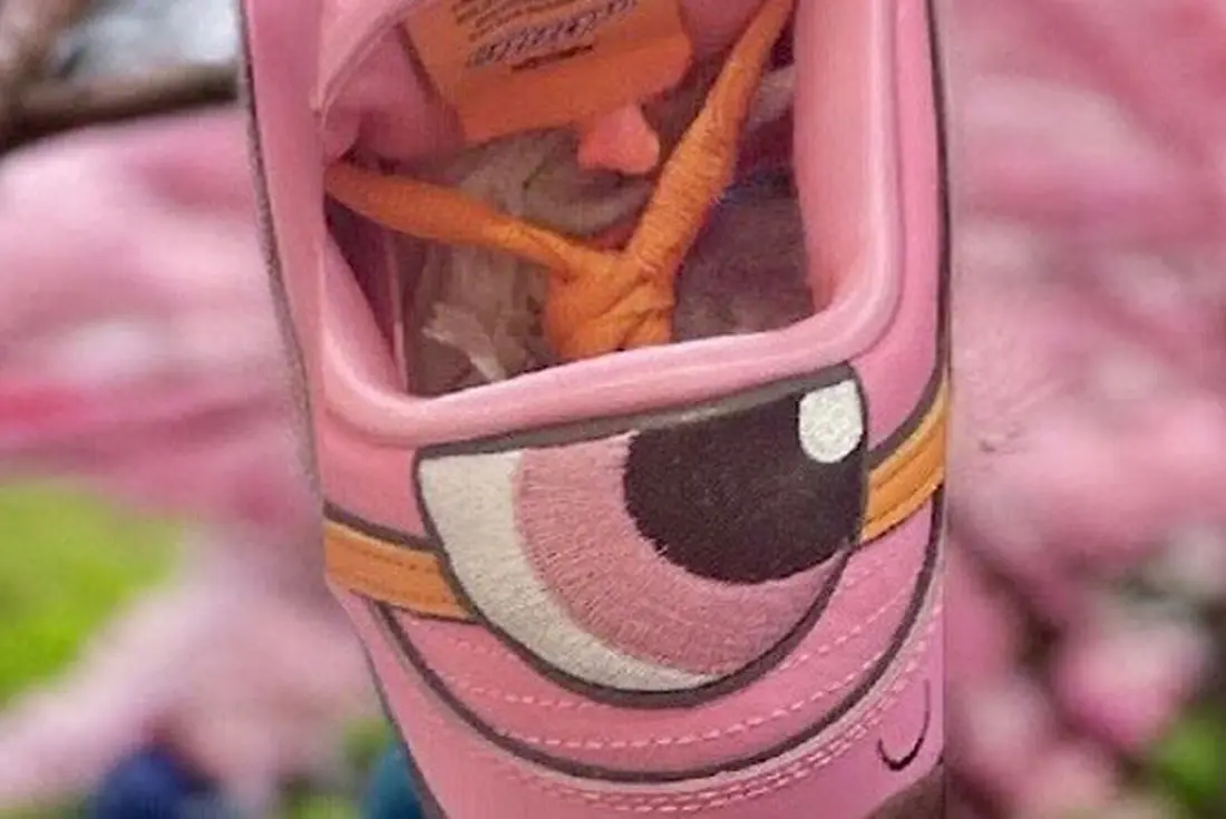 Hinh anh 2: Tat ca nhung gi ban can biet ve man hop tac Powerpuff Girls x Nike SB