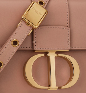 Tui Dior 30 Montaigne Micro 'Rose' S2110UMOS-M49P