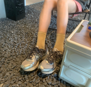 Giay New Balance 860v2 'Earth' ML860KR2