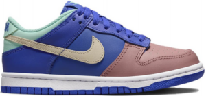 Giay Nike Dunk Low SE GS 'Salmon Toe' DZ2873-400