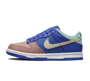Giay Nike Dunk Low SE GS 'Salmon Toe' DZ2873-400
