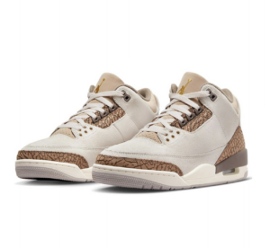 Giay Nike Air Jordan 3 Retro 'Palomino' CT8532-102