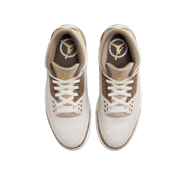 Giay Nike Air Jordan 3 Retro 'Palomino' CT8532-102