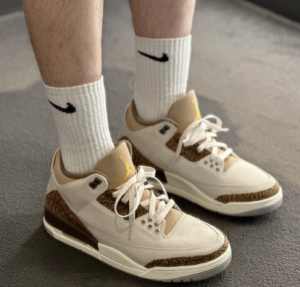 Giay Nike Air Jordan 3 Retro 'Palomino' CT8532-102
