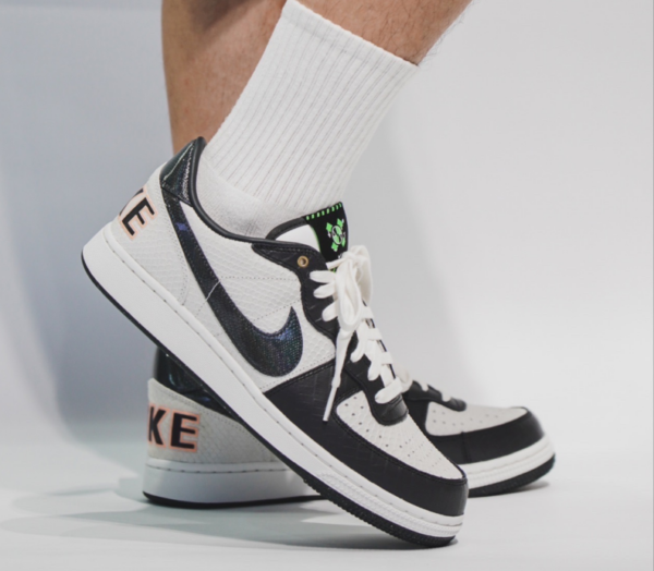 Giay Nike Terminator Low 'Reptile' FN9331-191