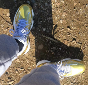 Giay Adidas D Rose 10 'Metallic Gold' FW9487