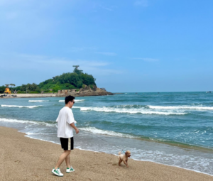 Giay Amiri Skel Top Low 'White Green' MFS003-114