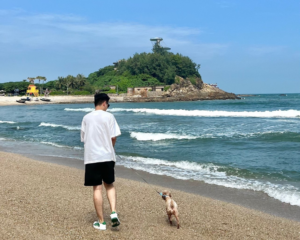 Giay Amiri Skel Top Low 'White Green' MFS003-114