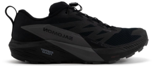 Giay Salomon Sense Ride 5 GTX 'Black' L47147200