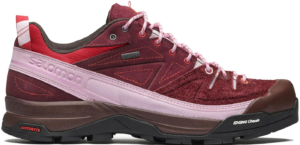 Giay Salomon X-Alpages Gore-Tex 'The Broken Arm' L47346100