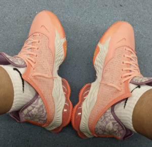 Giay Nike LeBron 19 Low EP 'Hawaii' DQ8343-600