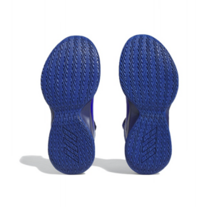 Giay Adidas Cross 'Em Up 5 Wide J 'Royal Blue Silver' HQ8495