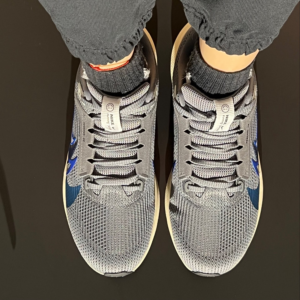 Giay Nike Air Zoom Pegasus 40 Premium 'Quadruple Swoosh' FB7179-002