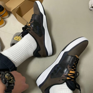 Giay Nike Ishod Wair Premium SB 'Baroque Brown' FD1144-200