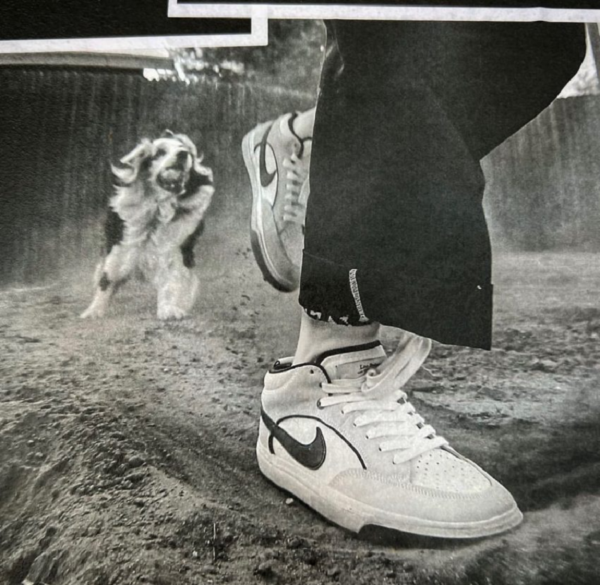 Giay Nike SB React Leo Baker 'White Black' DX4361-100