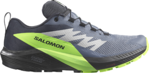 Giay Salomon Sense Ride 5 GTX 'Grey' L47312800