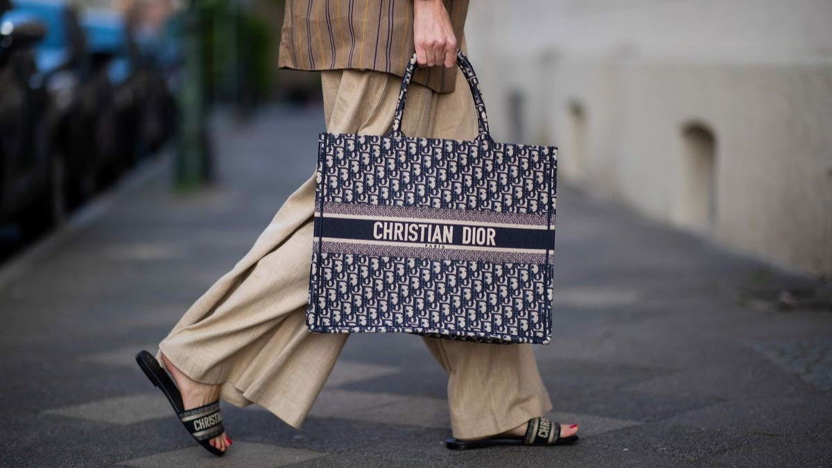 Hinh anh 5: 10 mau tui Dior tot nhat 2023: Noi chat luong va phong cach hoi tu