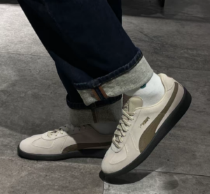 Giay Puma Army Trainer Suede 'Granola Chocolate' 388156-10