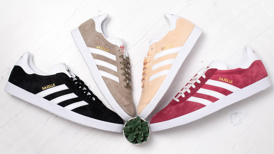 Adidas Gazelle và những bí mật đằng sau đôi giày cổ điển Hinh anh 2: Adidas Gazelle va nhung bi mat dang sau doi giay co dien