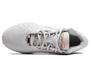 Giay Nike Lebron XXI 'Akoya' FV2345-001