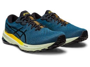 Giay Asics GT-1000 11 TR 'Nature Bathing' 1011B573-750