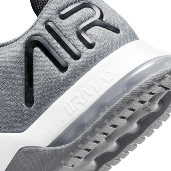 Giay Nike Air Max Alpha Trainer 4 'Cool Grey' CW3396-001