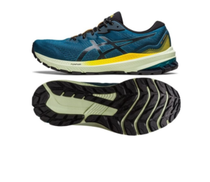 Giay Asics GT-1000 11 TR 'Nature Bathing' 1011B573-750