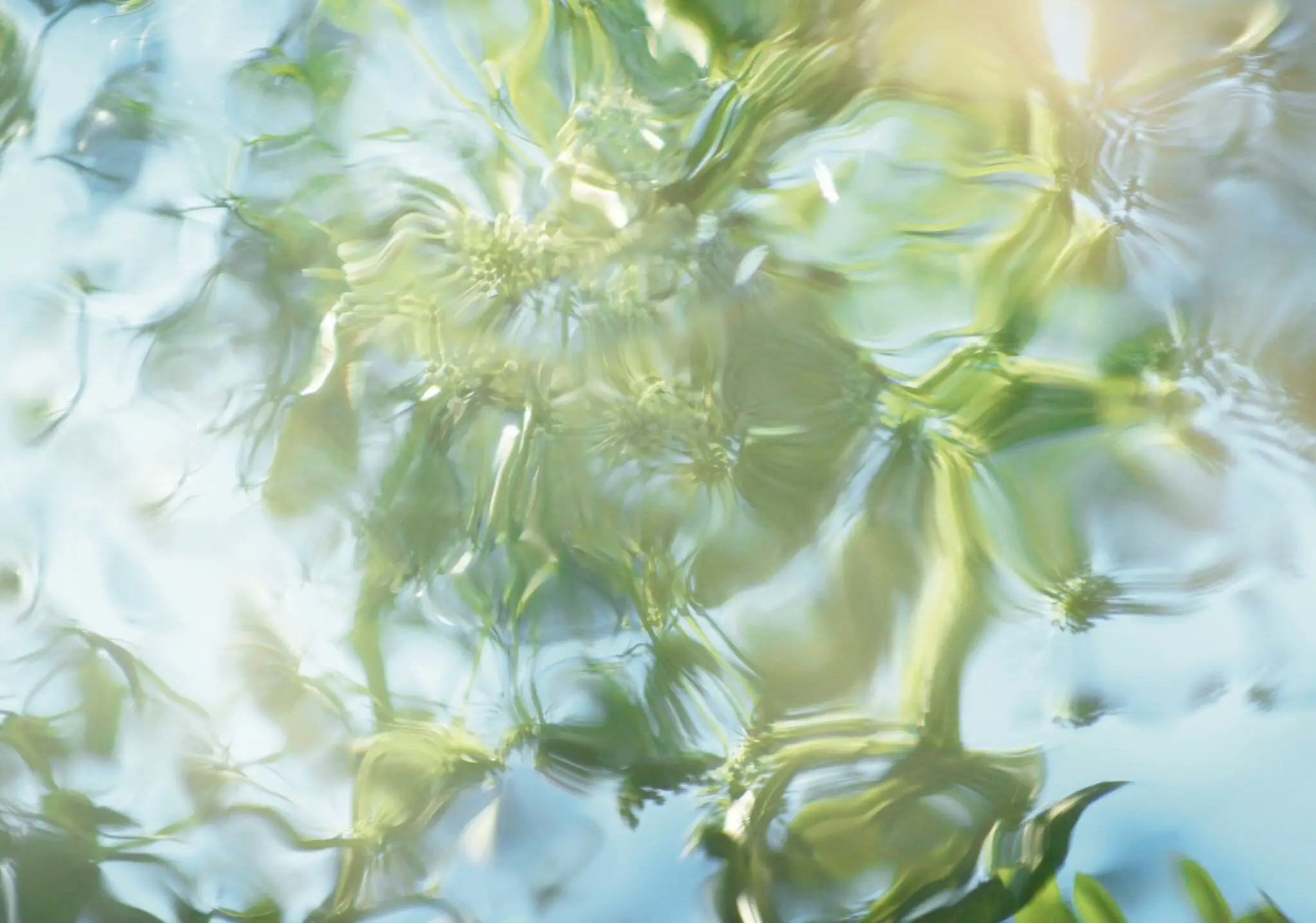 Hinh anh 3: MFK Aqua Media Cologne Forte: Huong Thom Tuoi Mat Cho Mua He