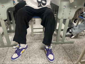 Giay Nike Air Force 58 SB 'Court Purple' DV5477-500