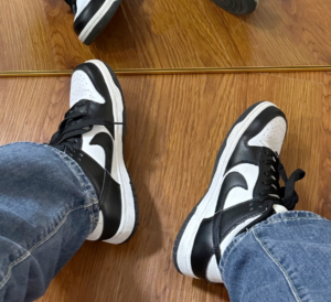 Giay Nike Dunk Mid ‘Panda’ FQ8784-100