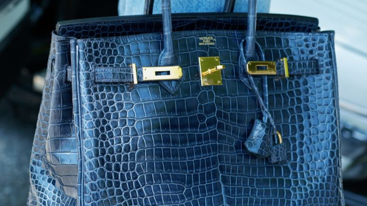 Hinh anh 5: Dau la mau tui Birkin hap dan nhat cua Hermes?