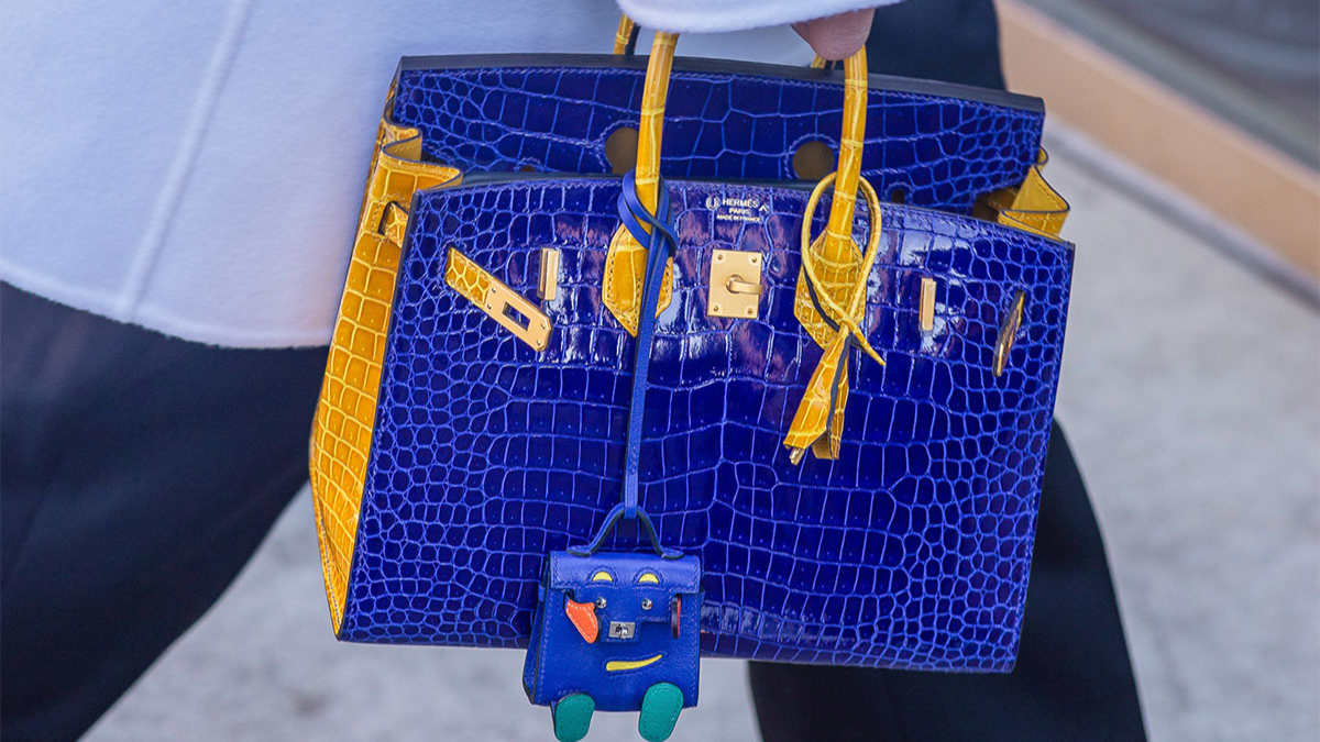 Hinh anh 6: Dau la mau tui Birkin hap dan nhat cua Hermes?