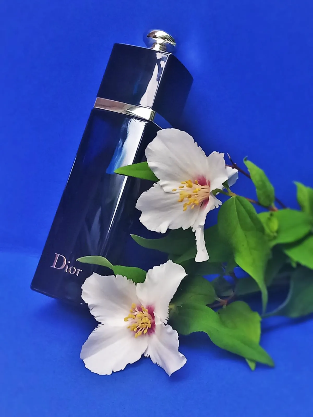 Hinh anh 6: Top 9 chai nuoc hoa quyet ru nhat danh cho cac co gai cua Dior