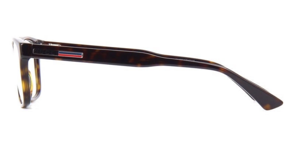Kinh Gucci Eyeglasses 'Havana' GG0826O-002