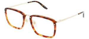 Kinh Gucci Eyeglasses 'Frames' GG0676O-002