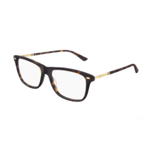 Kinh Gucci Eyeglasses 'Havana' GG0519OA-006