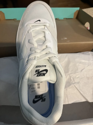 Giay Nike Alleyoop SB 'White Sail' CJ0882-101