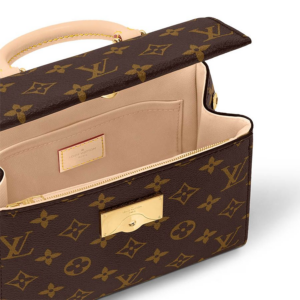 Tui Louis Vuitton Cluny Mini Bag 'Brown' M46055