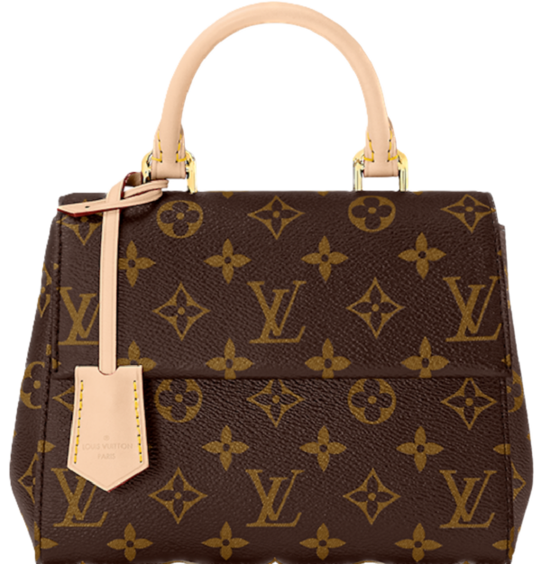 Tui Louis Vuitton Cluny Mini Bag 'Brown' M46055