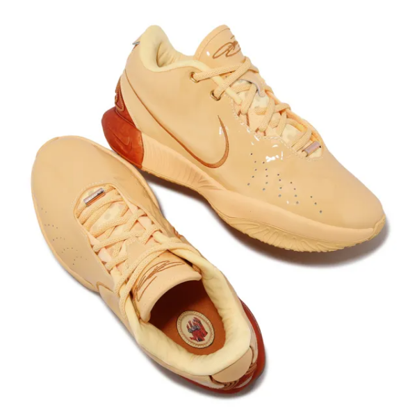 Giay Nike LeBron 21 'Melo Melo' FV2346-800